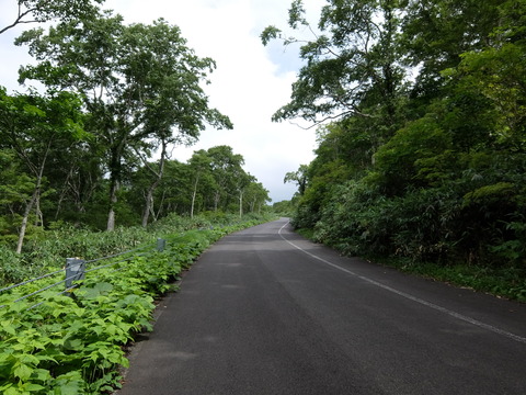DSCF4408