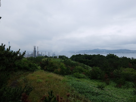 DSCF3848