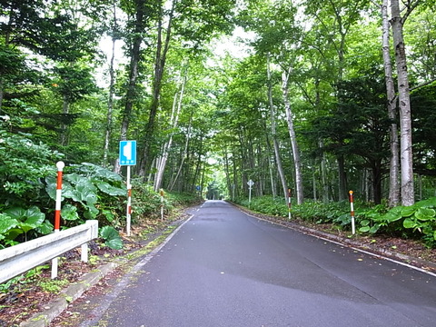 R0011918