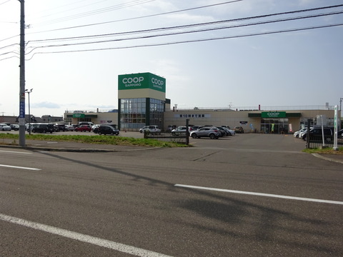 DSC00004