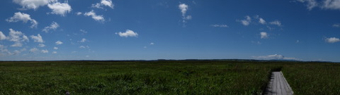 DSCF2717