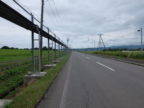 DSCF6753