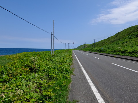 DSCF2808