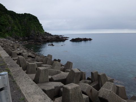 DSCF4157