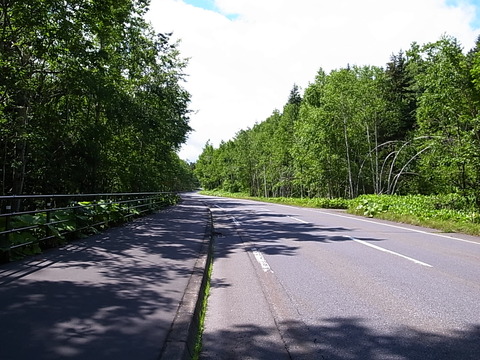 R0011990