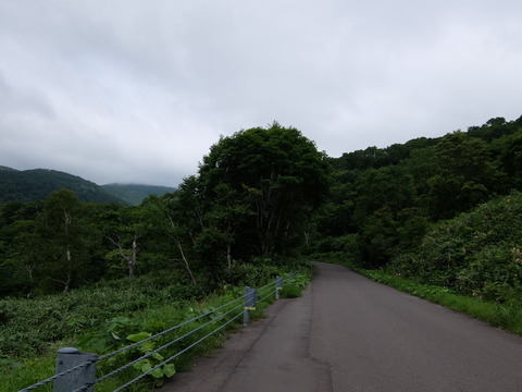 DSCF4397