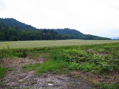 R0012185