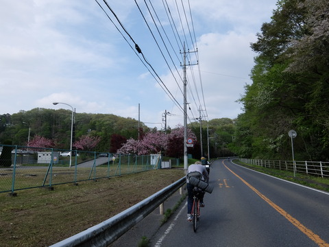 DSCF2308