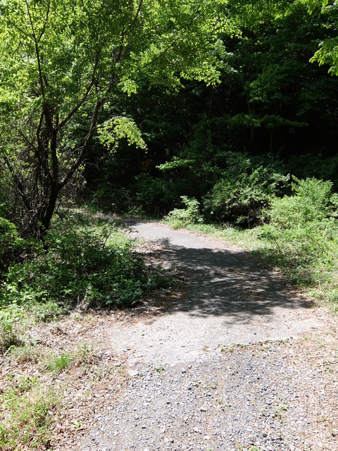 DSCF1816