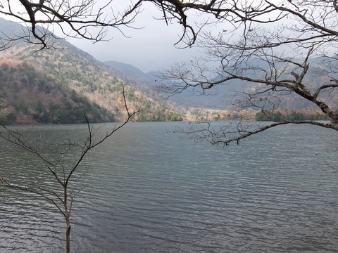 DSCF1983