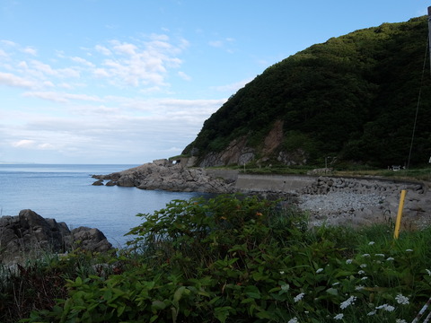 DSCF4192