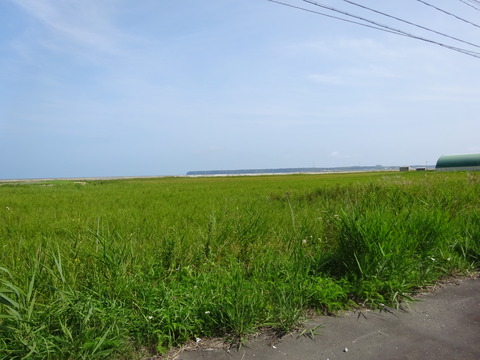 DSC00718