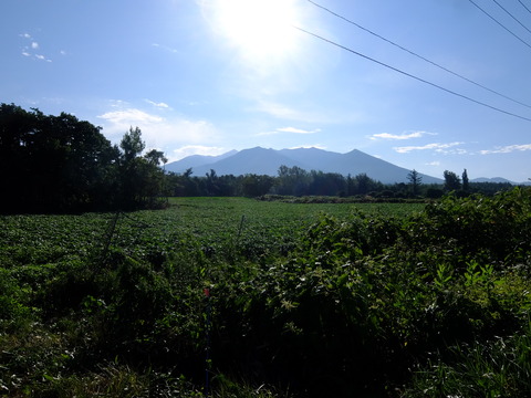 DSCF3261