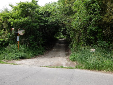 DSCF5611