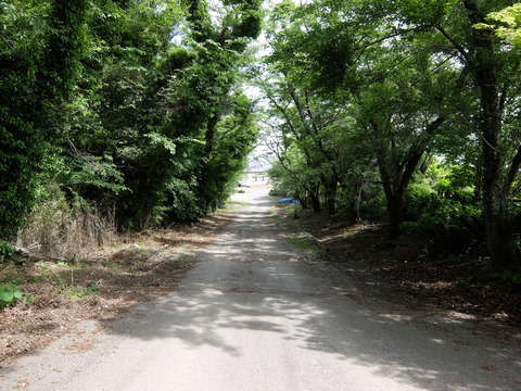 DSCF5599