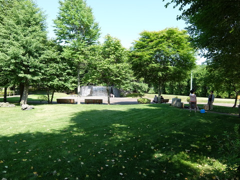 DSCF2445