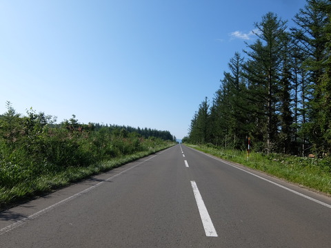 DSCF3277