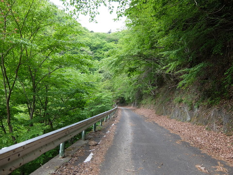 DSCF1712