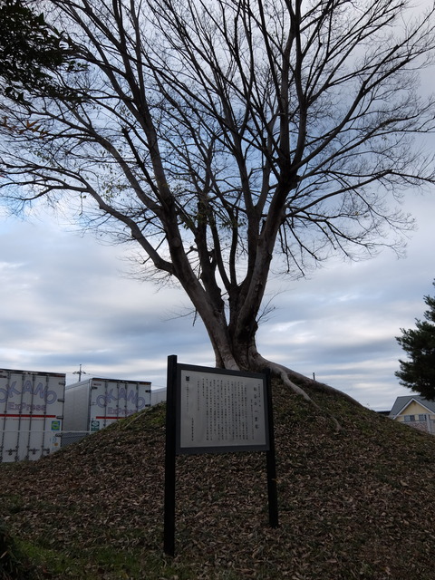 DSCF5808