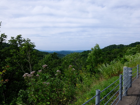DSCF2983