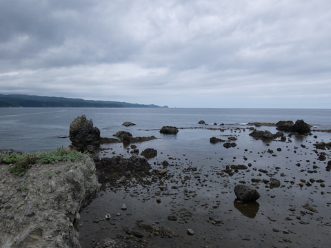 DSCF4614