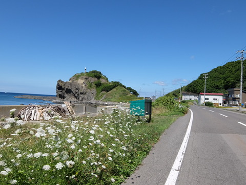 DSCF4292