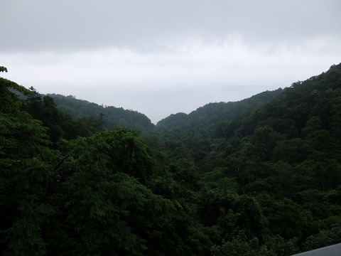 DSCF3902