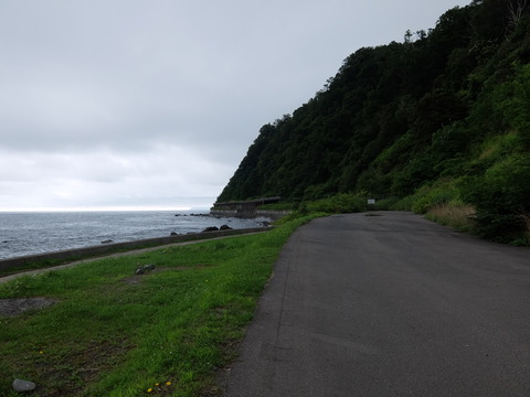 DSCF6847