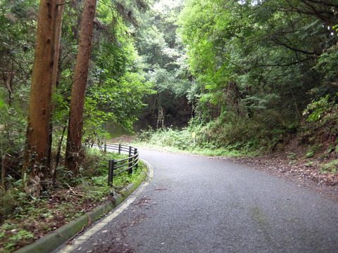 DSCF6406