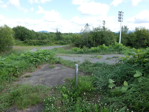 DSCF7536
