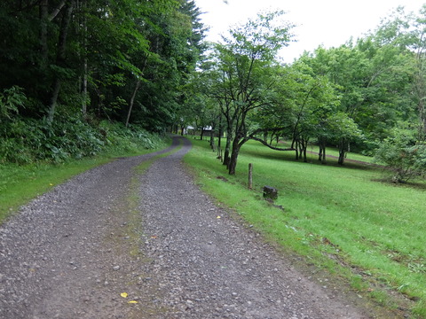 DSCF3796