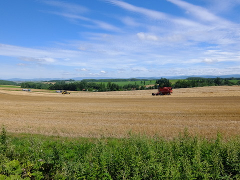 DSCF3135