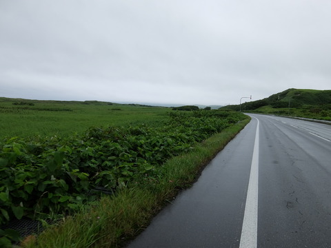 DSCF7082