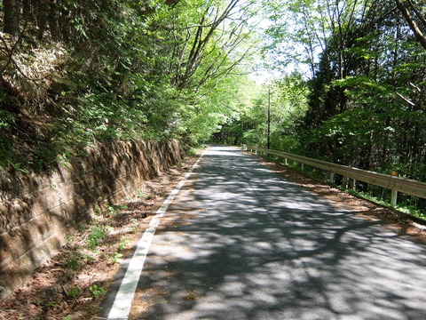 DSCF1842
