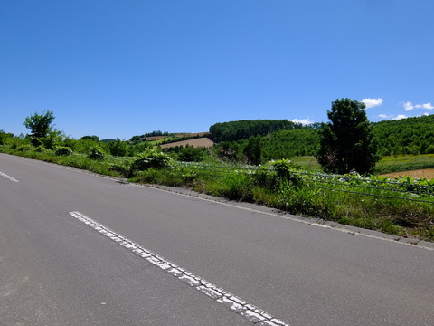 DSCF3196