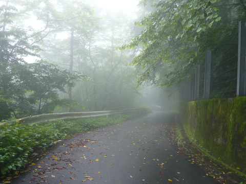 P1010773