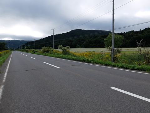 DSCF7231