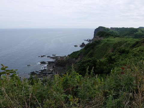 DSCF4628
