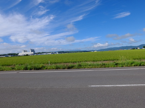 DSCF3100