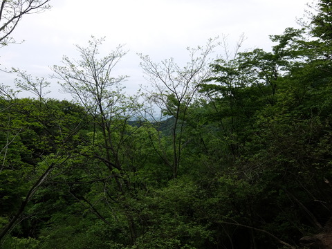 DSCF1713