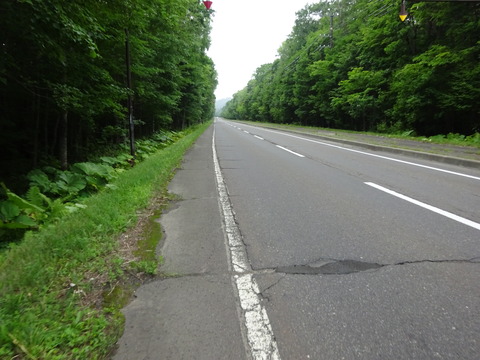 DSC00550