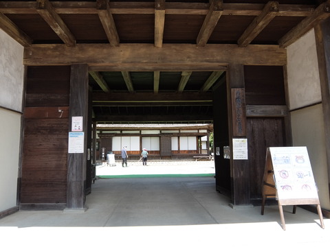 DSCF6346