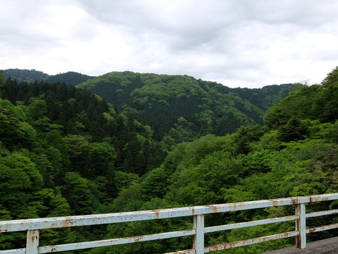 DSCF1732