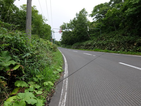 DSCF4960
