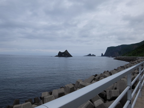 DSCF4532