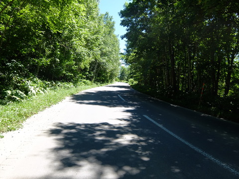 DSCF3195