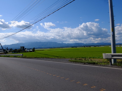 DSCF3386