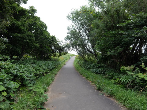 DSCF4625
