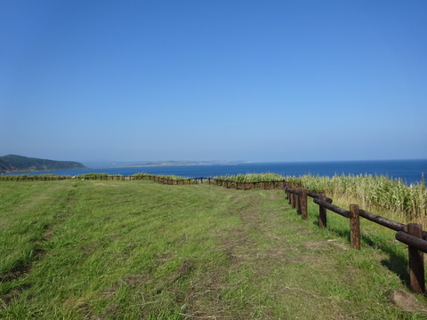 DSC00388