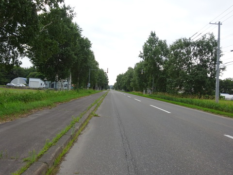 DSC00459